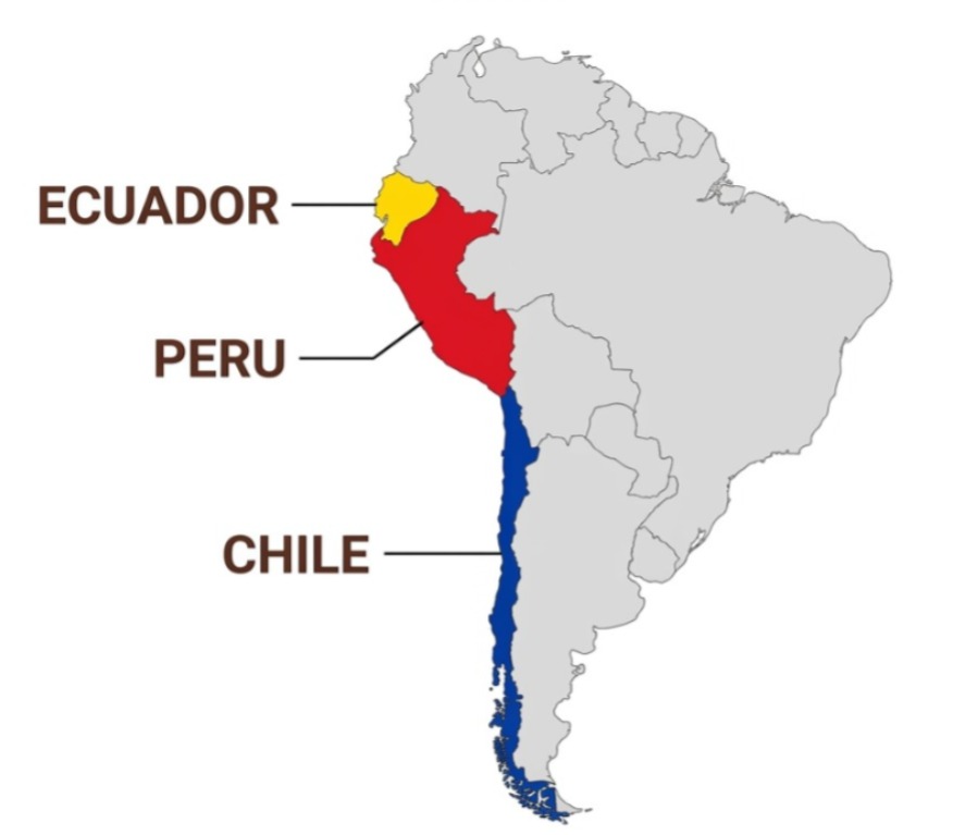 Cegalifting S.A.